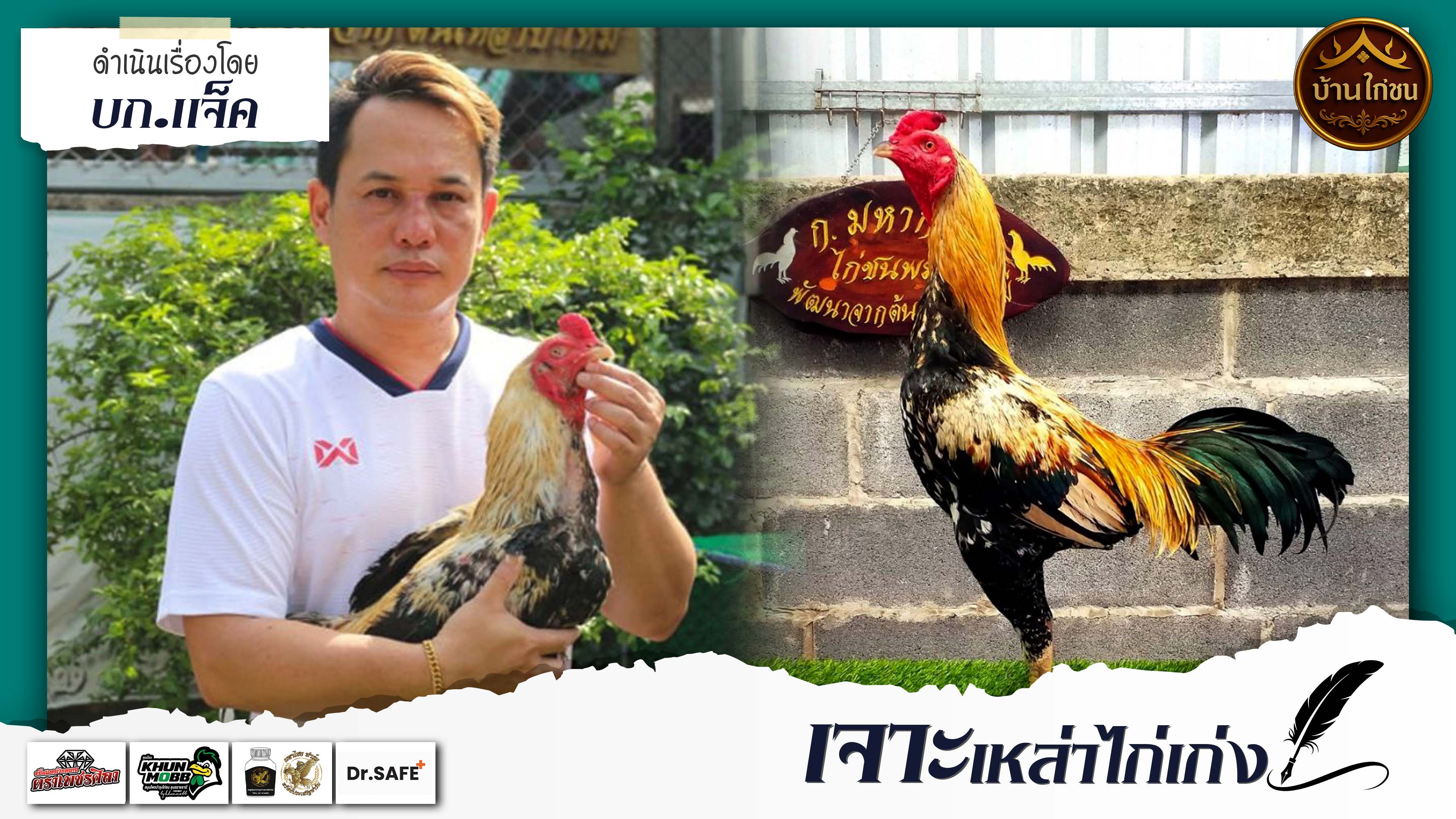 เจาะเหล่าไก่เก่ง 
