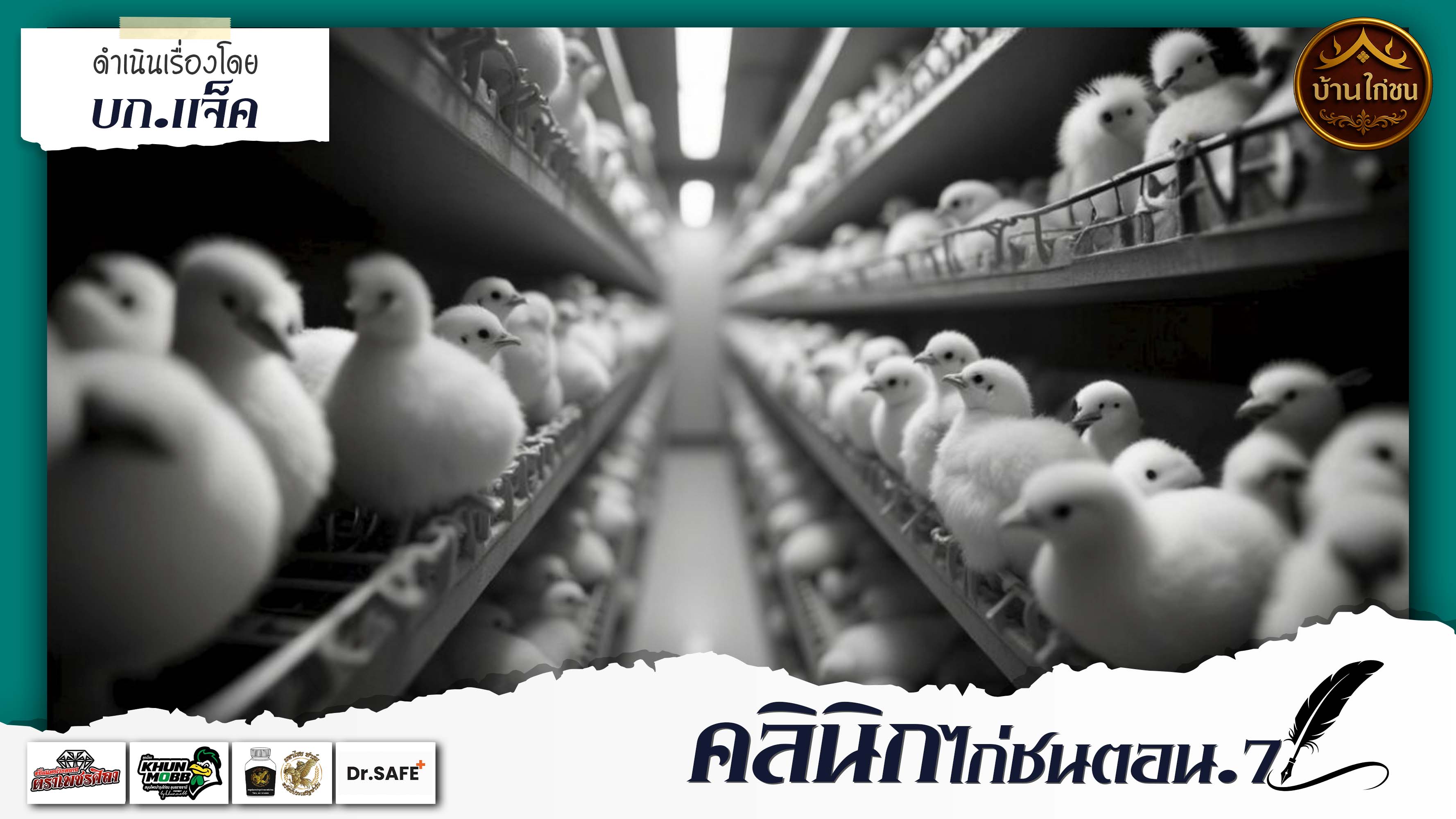 คลินิก...ไก่ชน (ตอนที่7) 