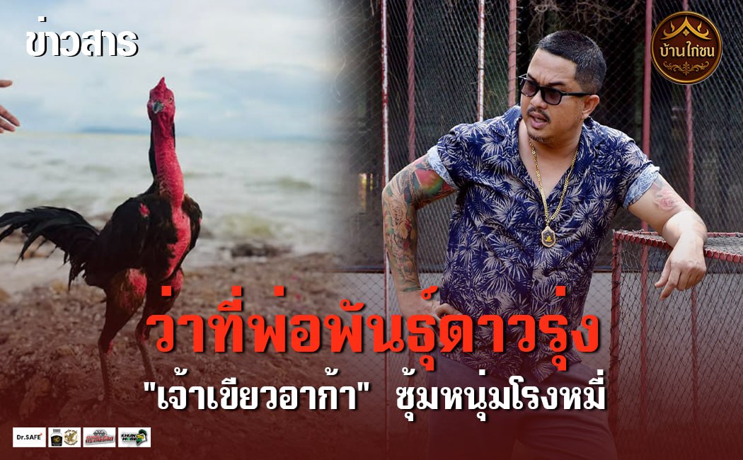ว่าที่พ่อพันธุ์ดาวรุ่ง ซุ้มหนุ่มโรงหมี่