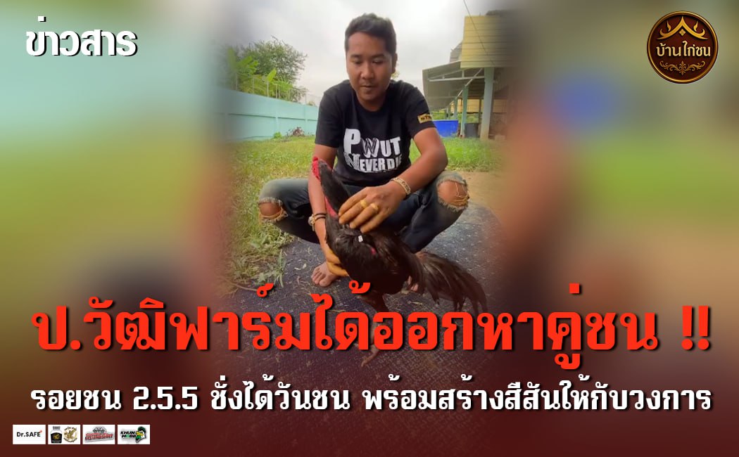ป.วุฒิฟาร์ม ได้ออกหาคู่ชน