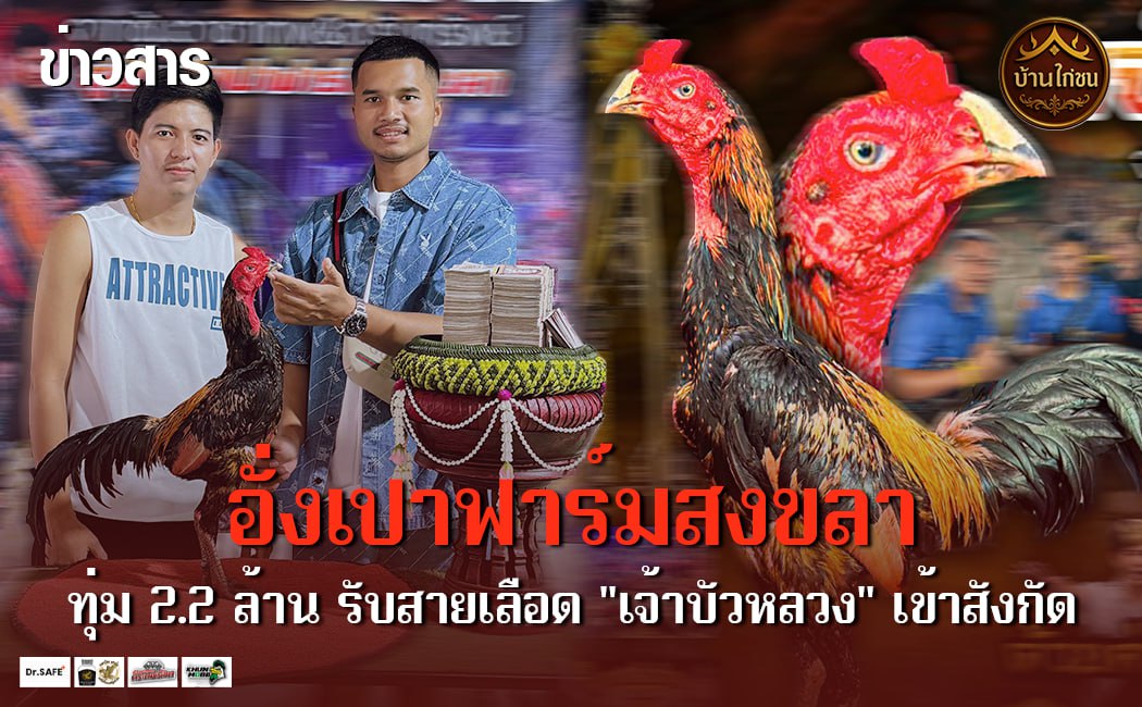 อั่งเปาฟาร์มสงขลา 