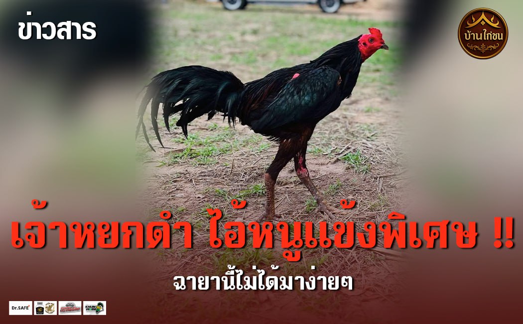 เจ้าหยกดำไอ้หนูแข้งพิเศษ