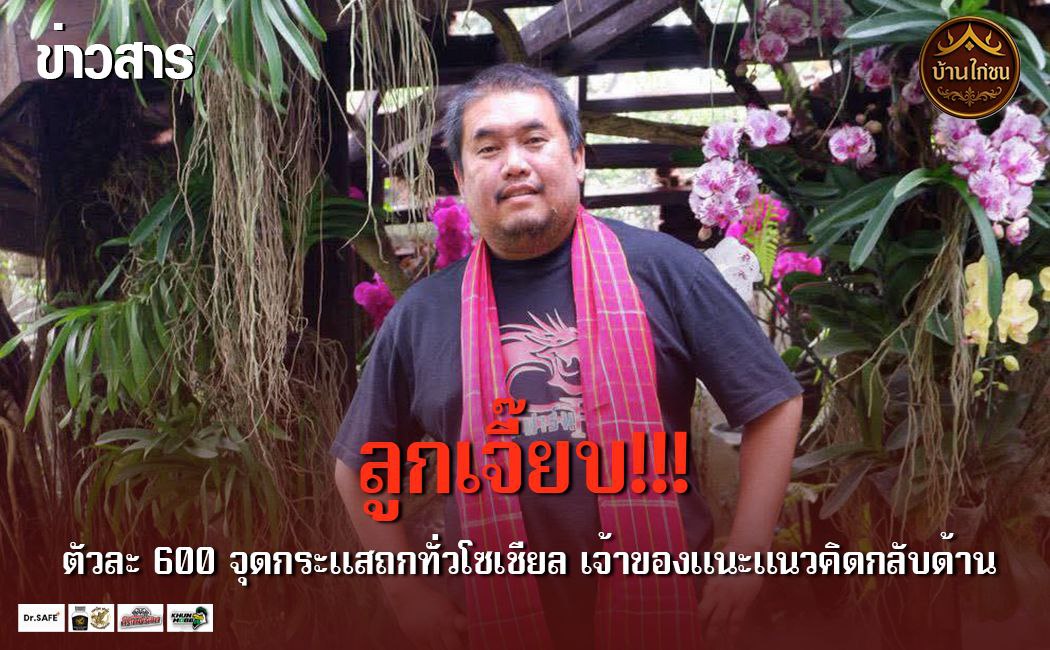 โกวเซ้มทำสถิติ ลูกเจี๊ยบ ตัวละ 600 บาท !!!