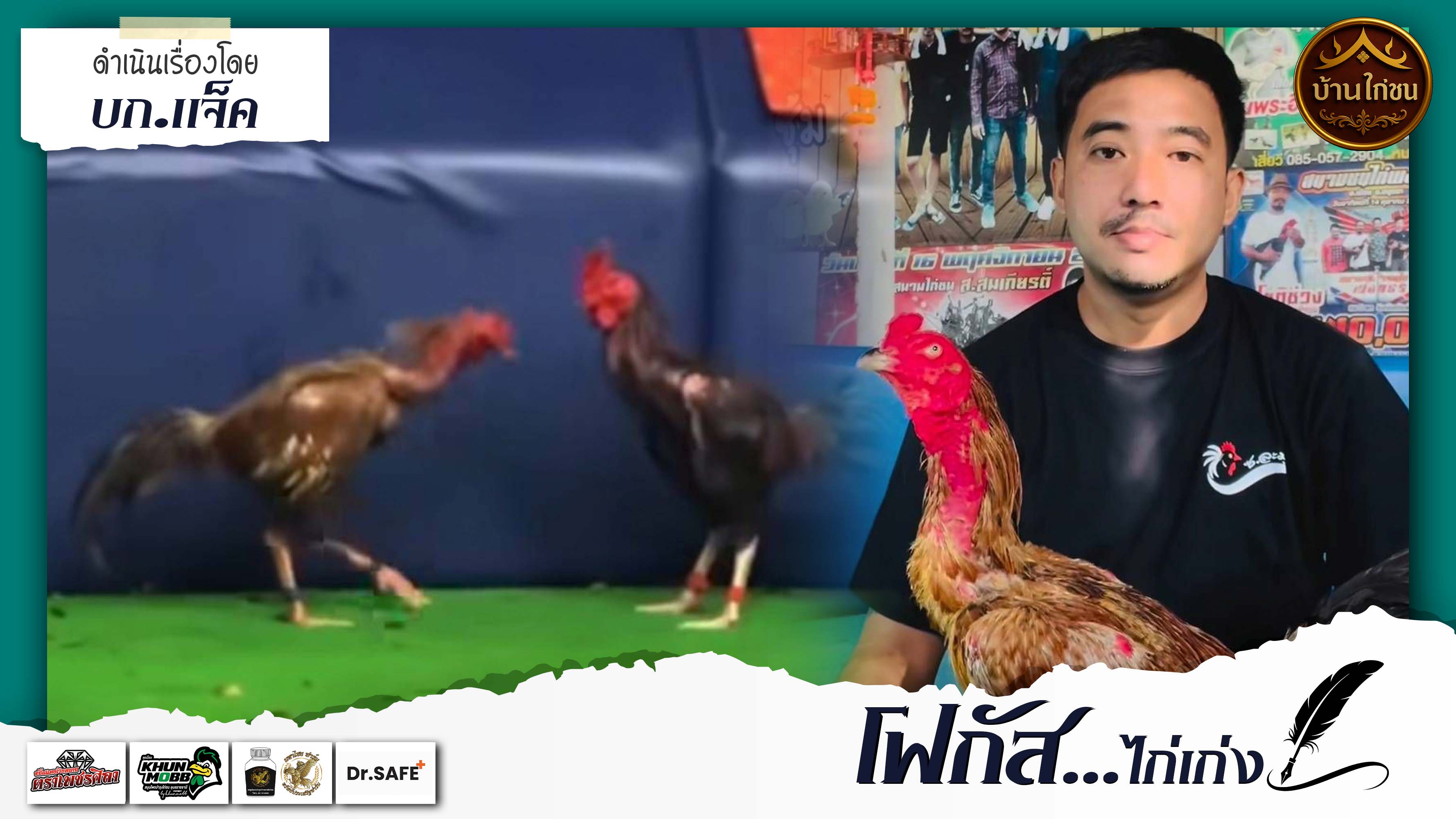 โฟกัสไก่เก่ง 