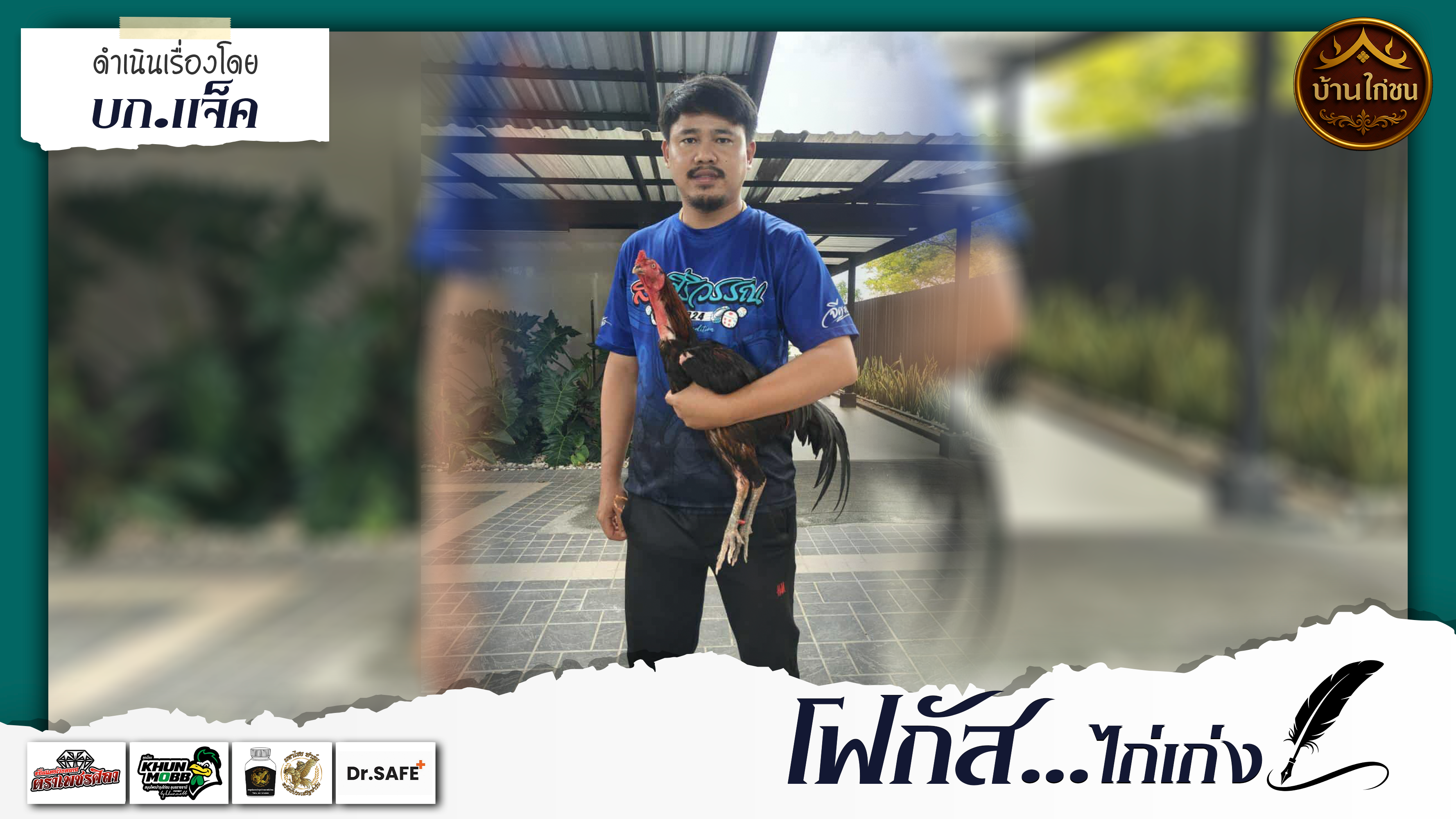 โฟกัสไก่เก่ง 
