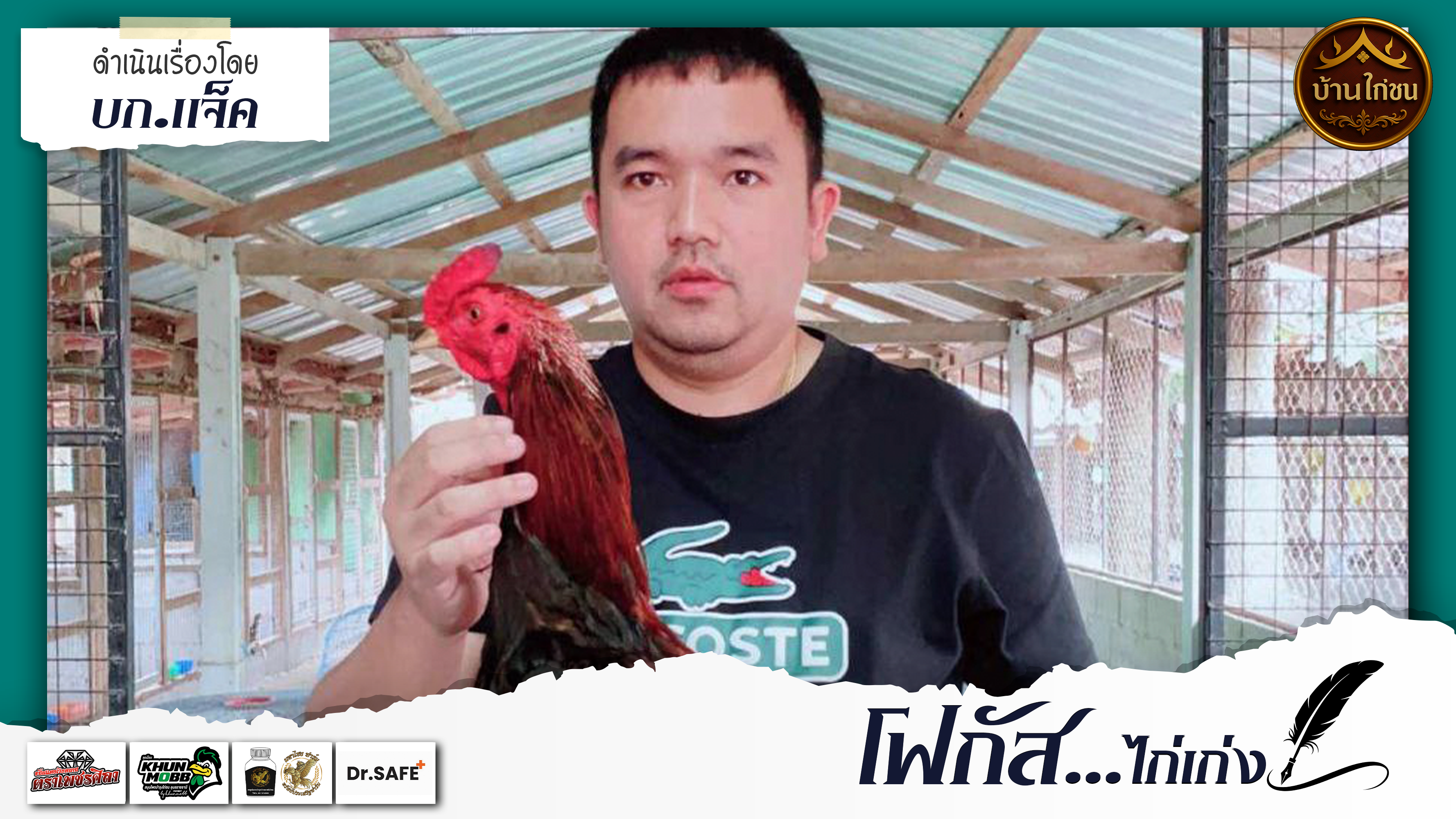 โฟกัส...ไก่เก่ง 