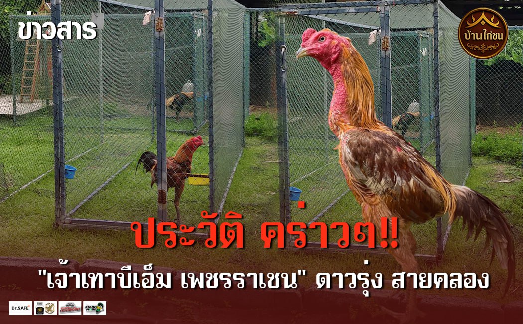 ประวัติ คร่าวๆ!!