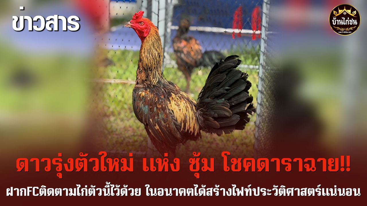 ดาวรุ่งตัวใหม่แห่งซุ้มโชคดาราฉาย