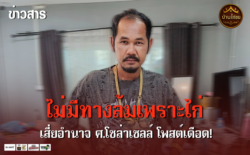 ไม่มีทางล้มเพราะไก่