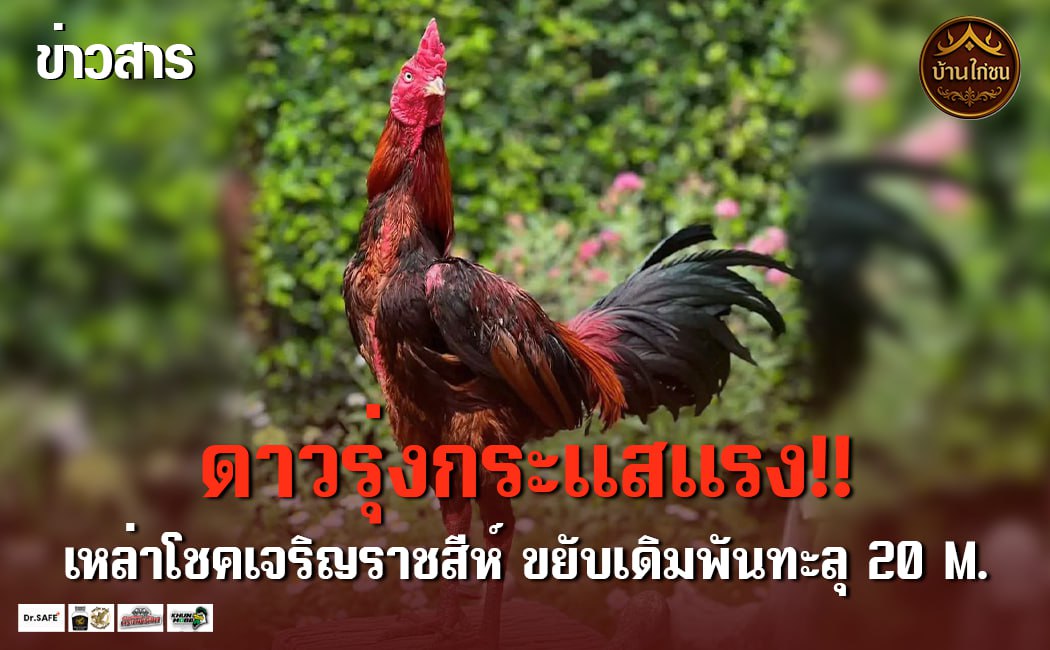 ดาวรุ่งกระแสแรง!! 